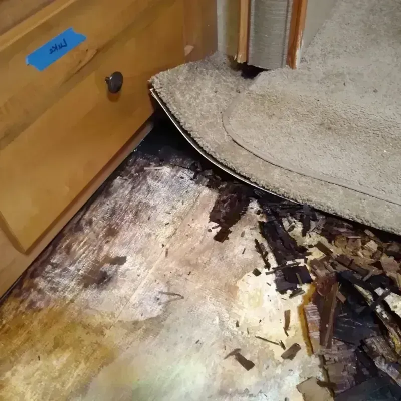 Best Wood Floor Water Damage Service in Eagle Lake, WI